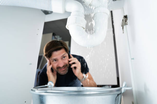 Best Residential Plumbing Services  in Memphis, MO