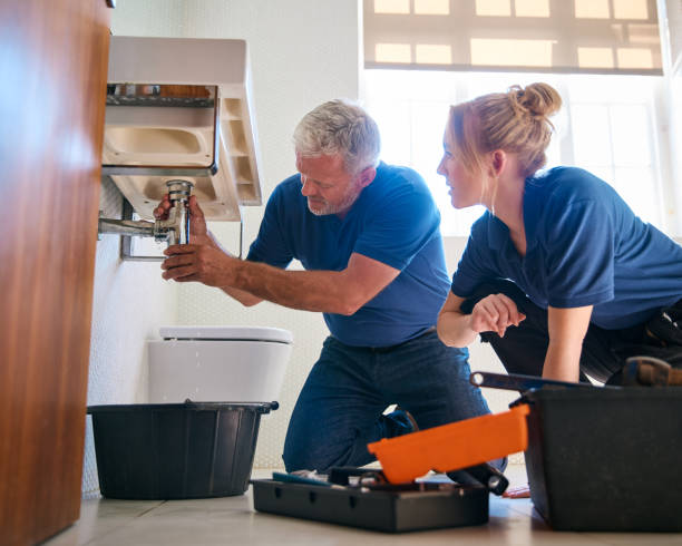 Best Plumbing Inspection Services  in Memphis, MO